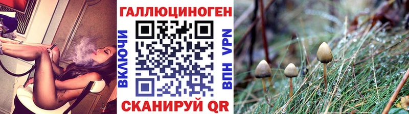 Псилоцибиновые грибы Cubensis  как найти закладки  Безенчук 